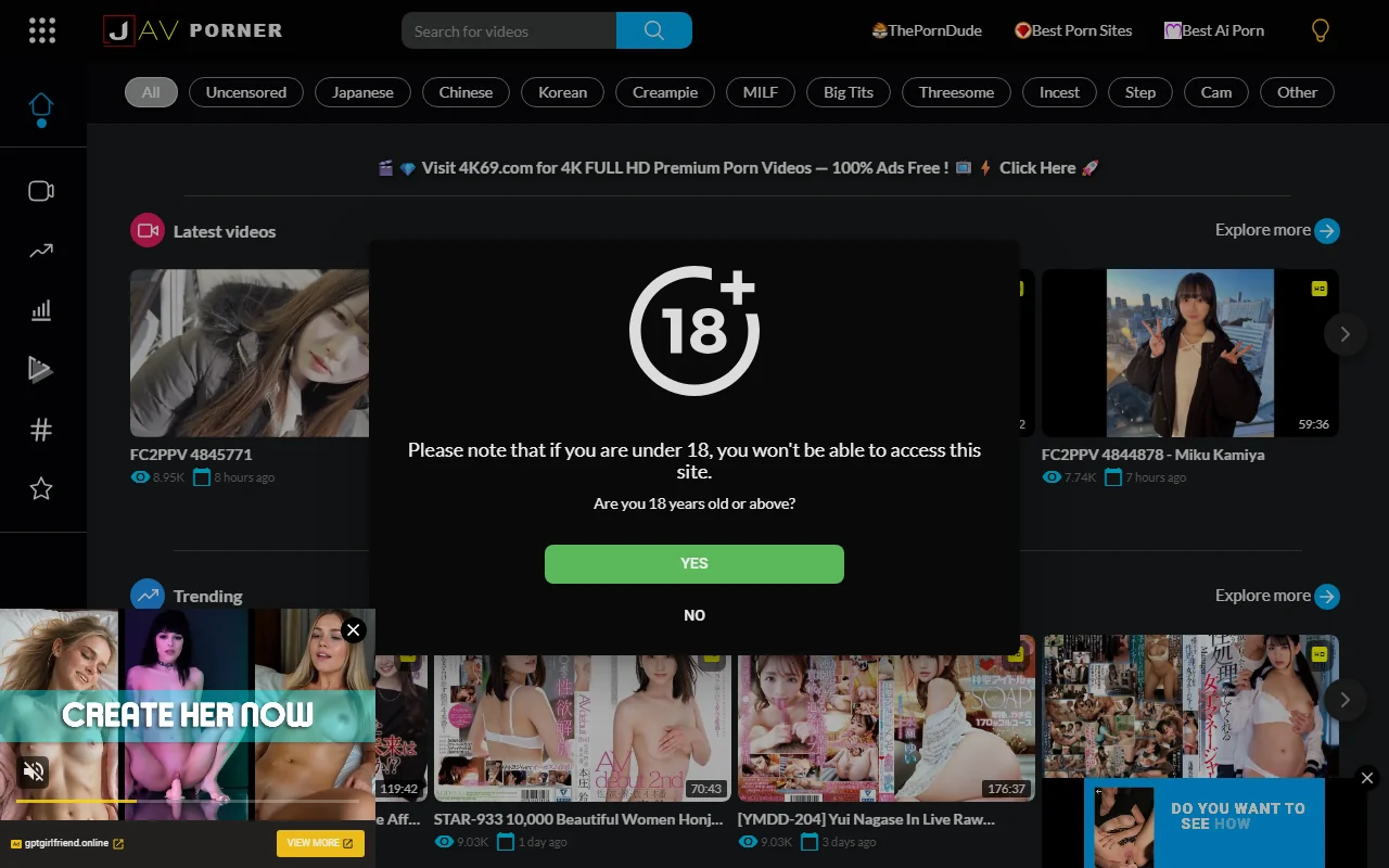 Screenshot of Avporner Website Review